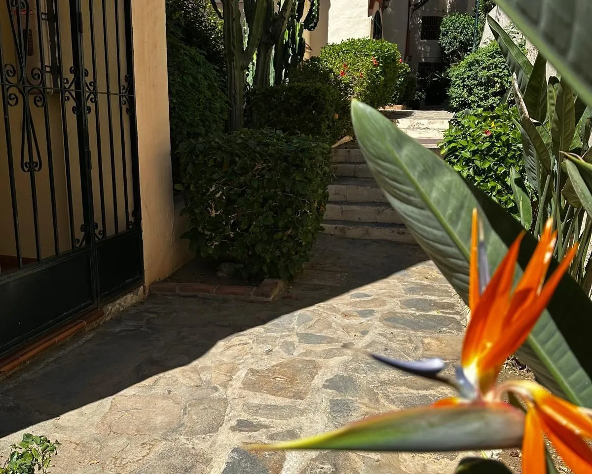 6c997738-06e8-43fc-a23d-ceea08f472f8