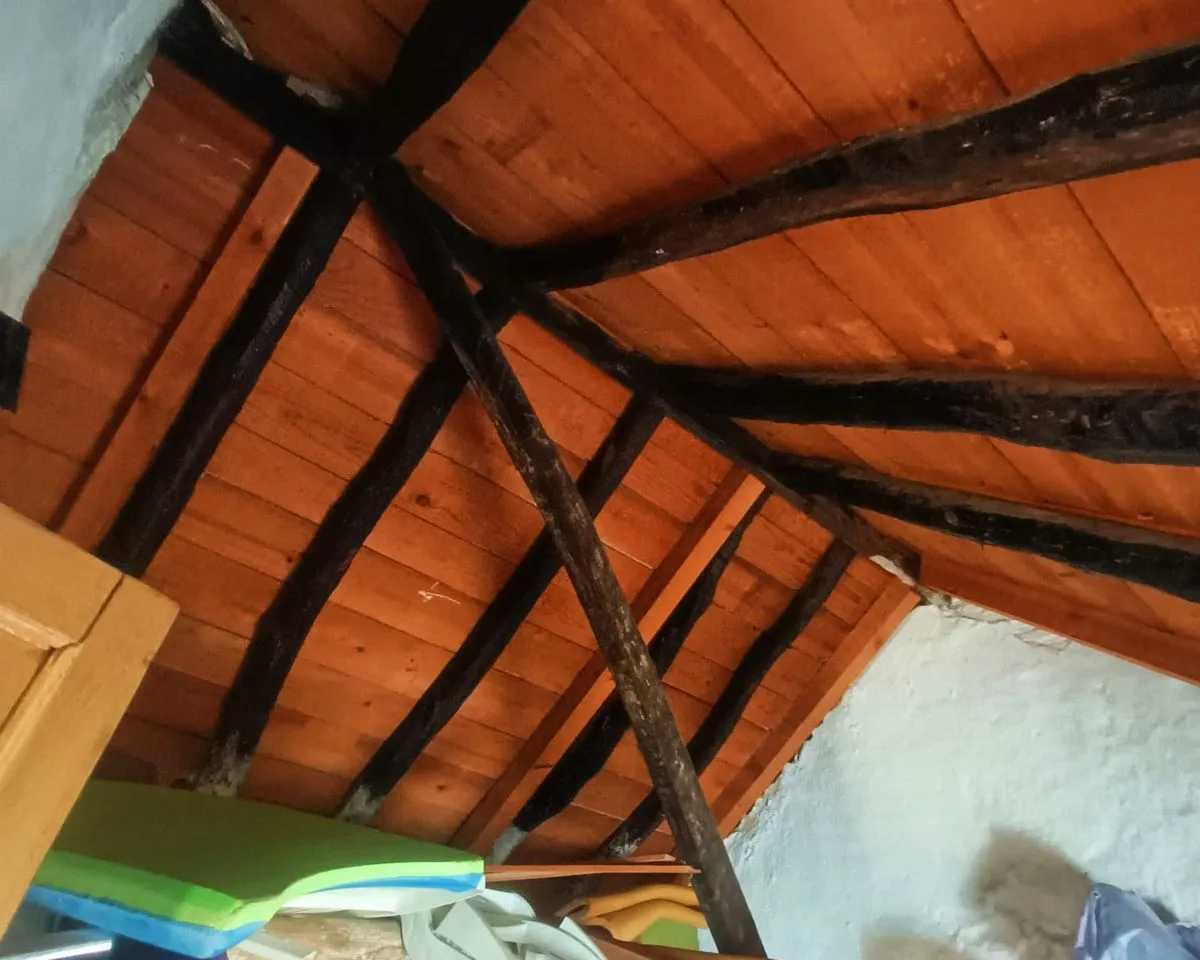 5dfd30a7-74cc-4940-8ec7-3d7eff727c38