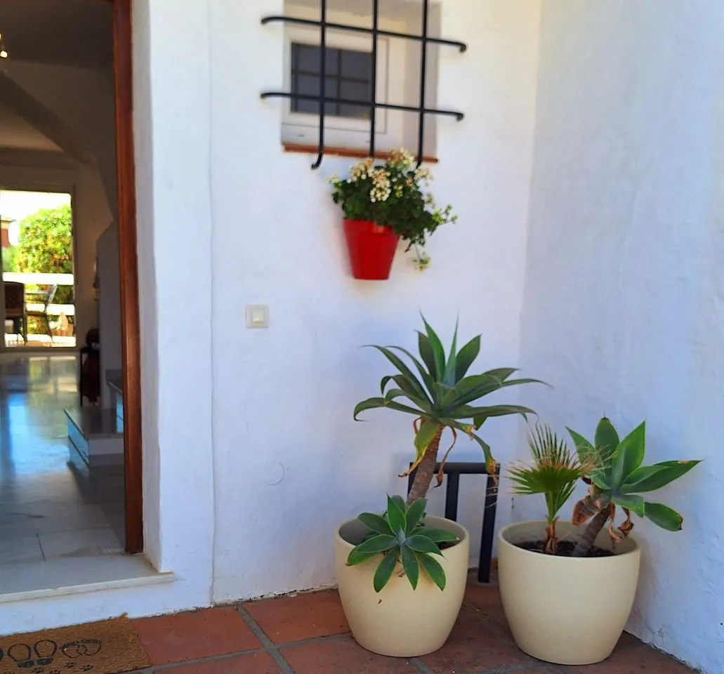 d9a536d3-aade-4bb9-9a3b-e78257969145