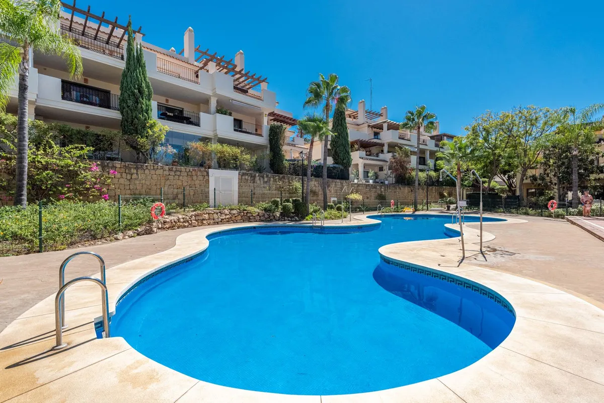 95bb558d-ae34-4565-85aa-55a5bd01b1e0