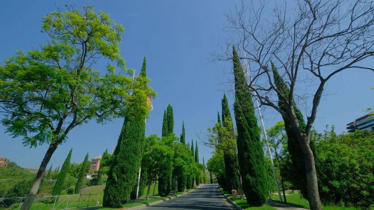 6d6cb486-0d9e-4dca-bd84-d260cf0fff4c