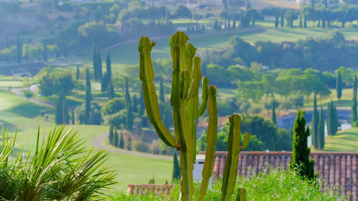 97340296-8f80-4561-a010-75be310a63be