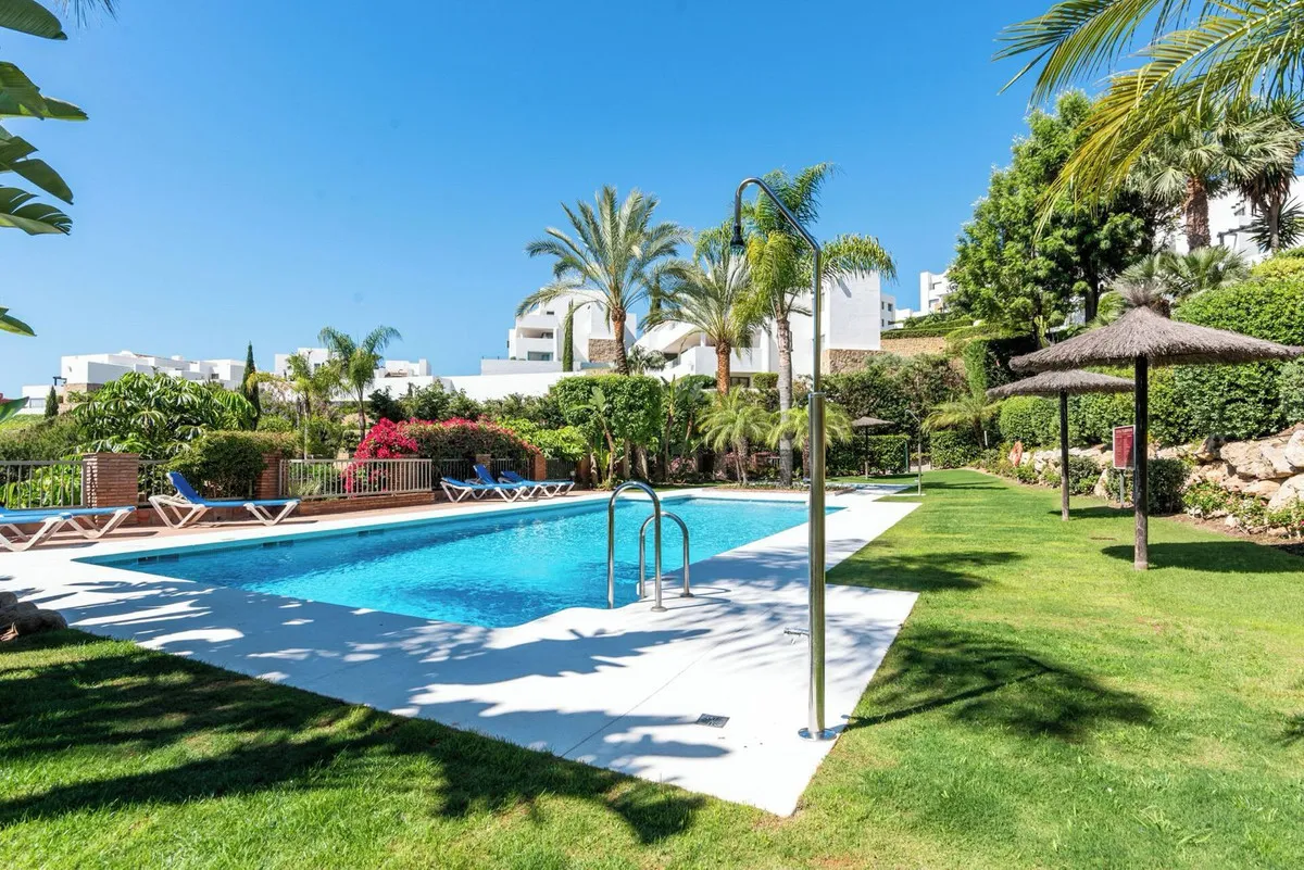 d8da8175-724c-467b-a24e-c992dbde7a64