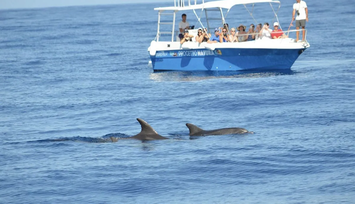 fcd3afff-77b4-4726-bcbe-0a5c99939361