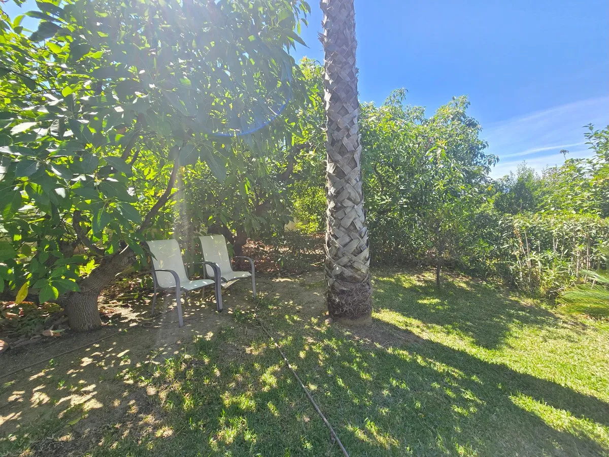 18253324-5e76-4808-af75-deb5d50bf5a0