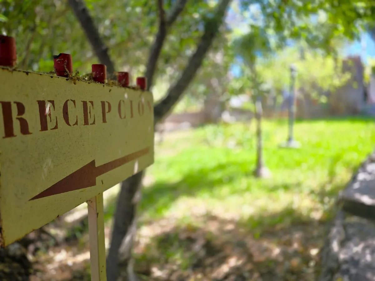 55d6eb8f-5da9-431e-82b1-3e543299263c