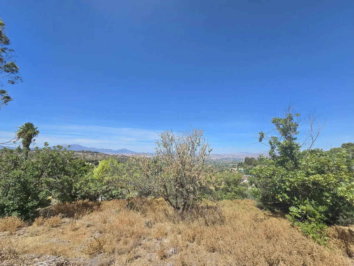 6713a374-8f0f-47bf-a98f-2e4d8b1c08c2