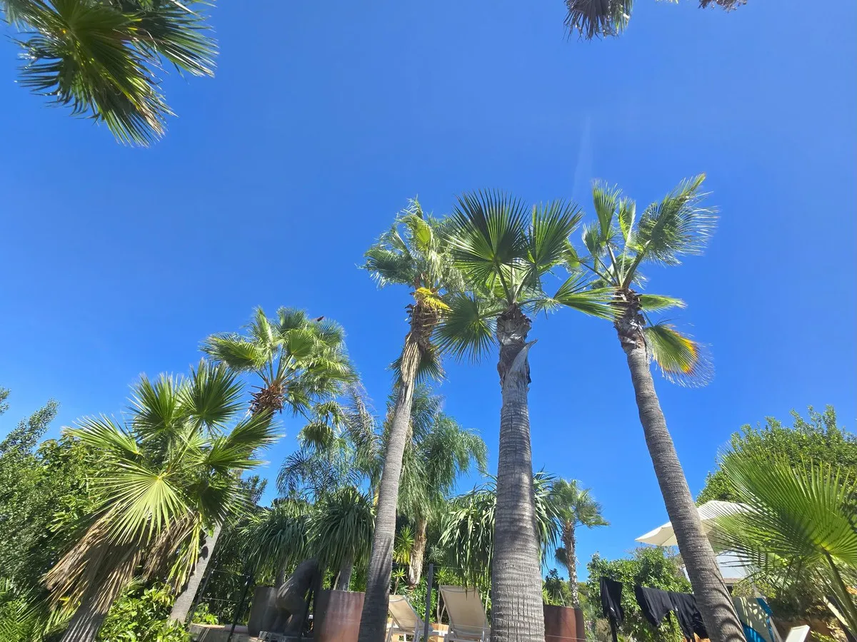 8b271149-8437-4ad0-9f7e-69b7fa8f51a5