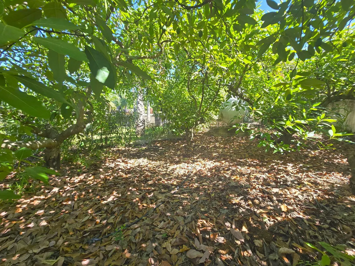 ec24194c-a412-45b2-b02e-400784761a8c