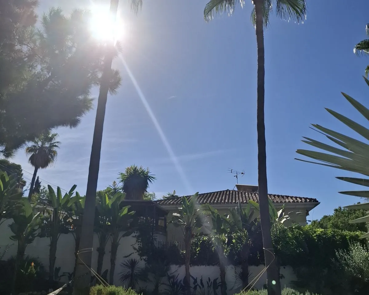 cb36550d-5022-433e-8dcb-c1ba180deb13