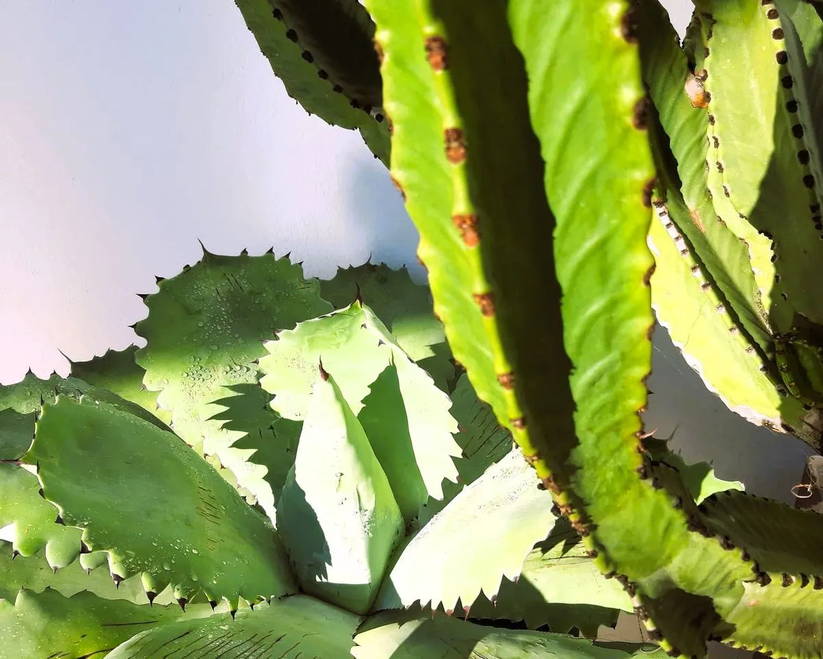 d4f18736-e264-4736-ad13-2004d7e098a9