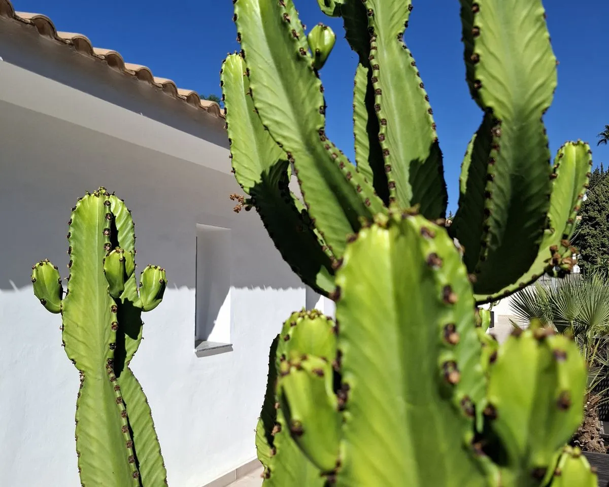 fd222096-d0fa-45f6-8ef3-17568f76c9a4