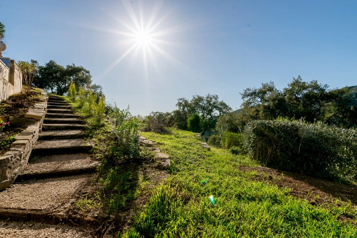 4ae7d1f0-8736-4f73-97ea-179e53db7b2c