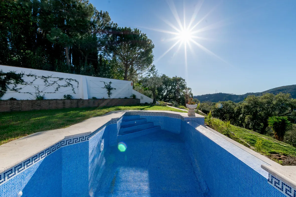 792cb2e6-af41-43f3-9668-63bdecae596d