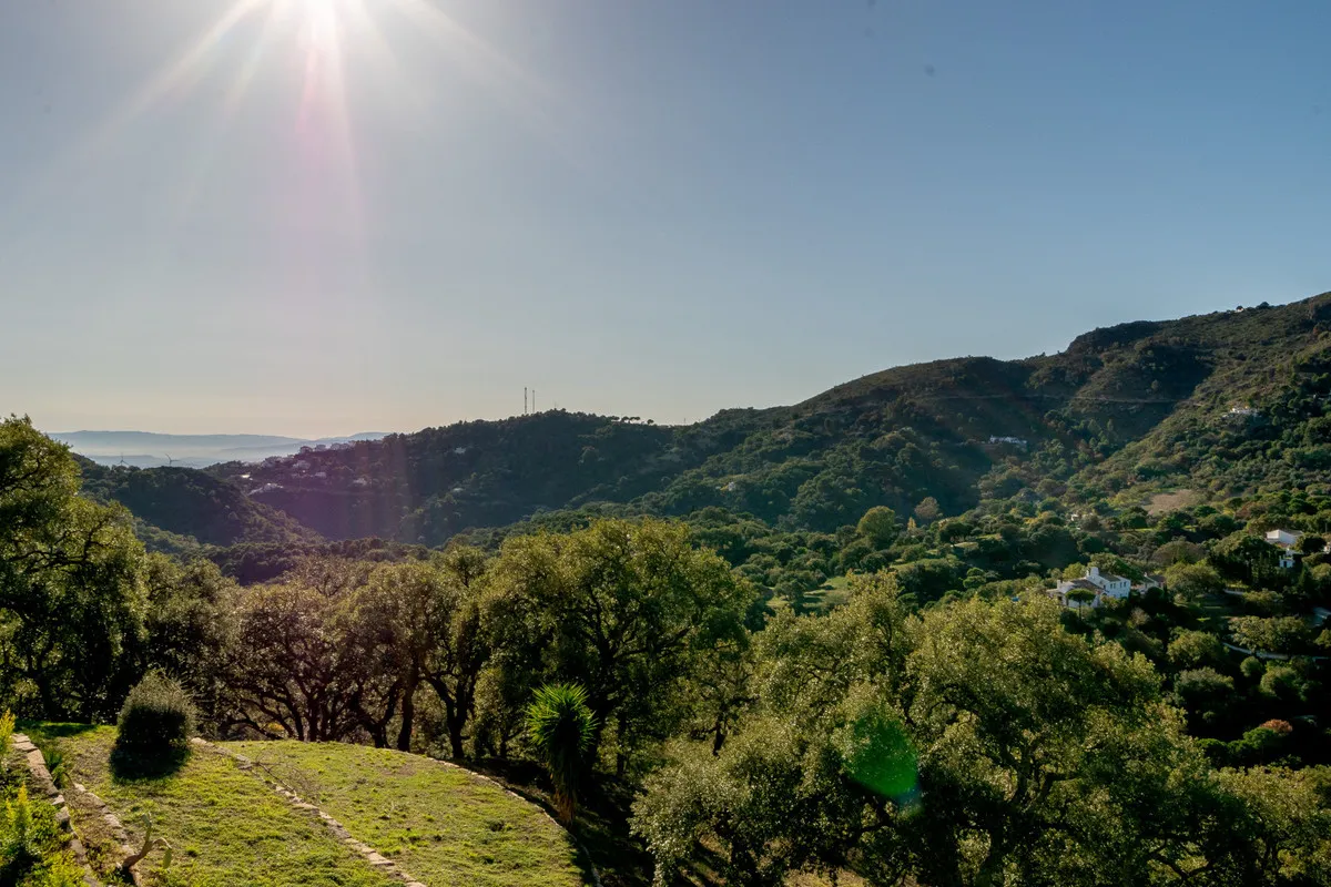 ec0283d8-5a40-4e51-b035-34c3de8cb555