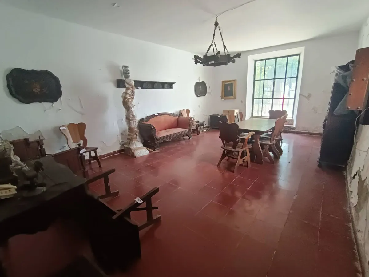 216191e5-d13e-4e29-85cd-28c5b2dc7896