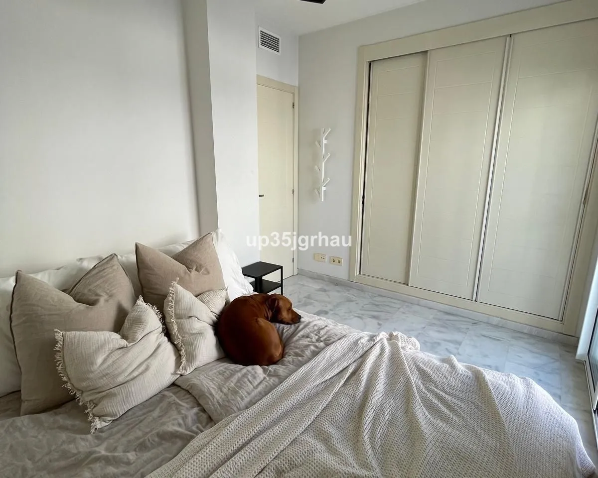 648ff9d3-c9a5-46ce-9227-734f6af8f895