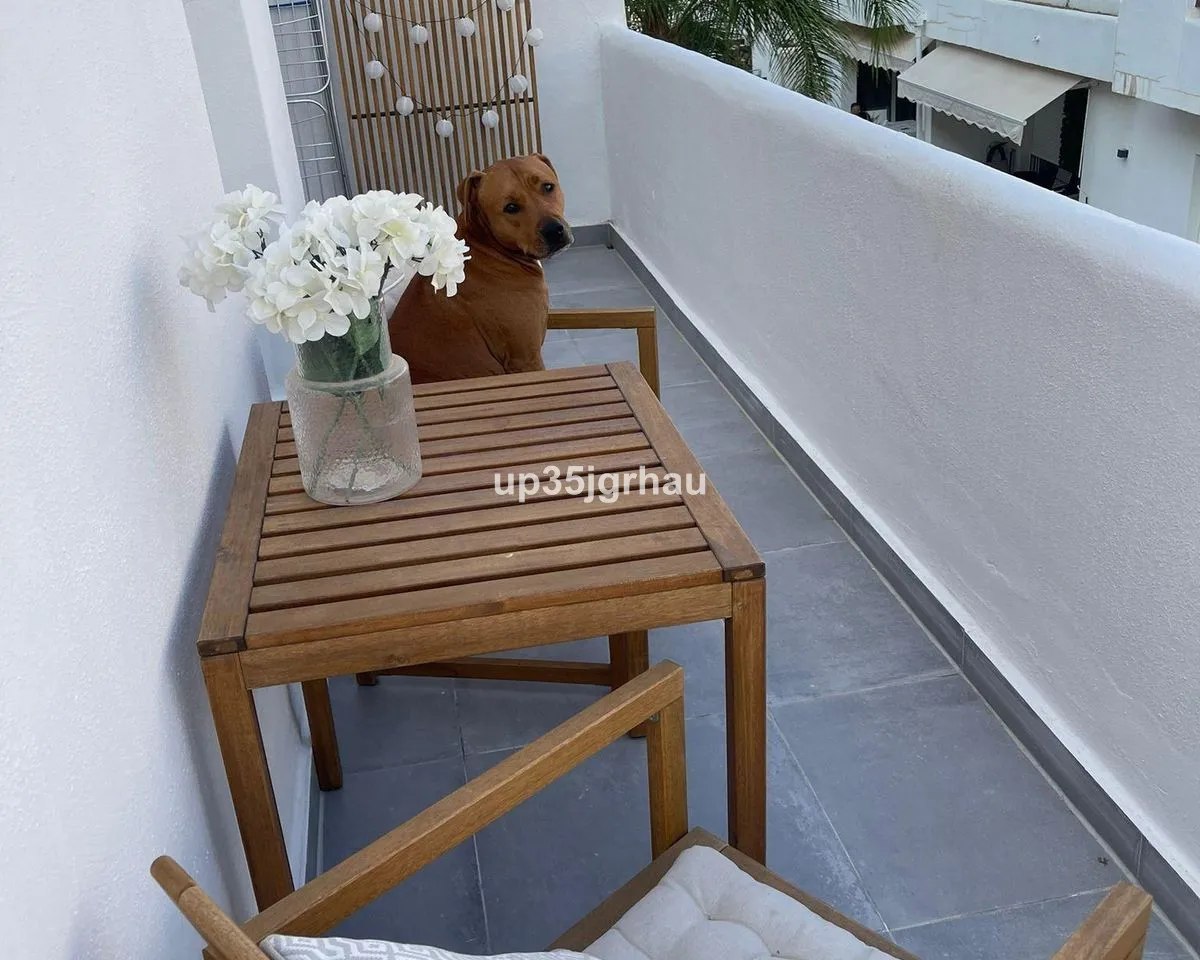 e51ac56a-9cf6-4b98-8568-7be898897d83