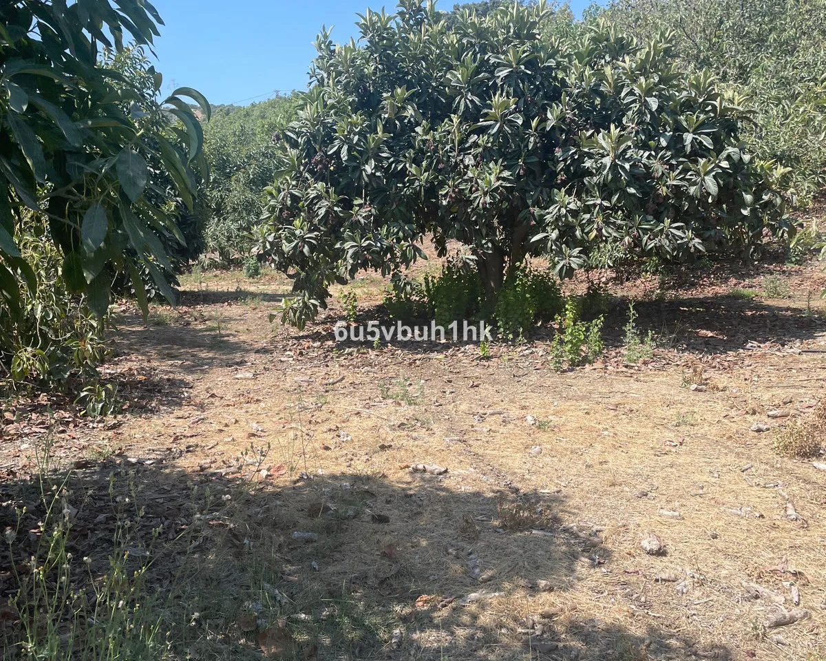 11d97d1c-01b8-4a58-a13f-4b5bbf68168c