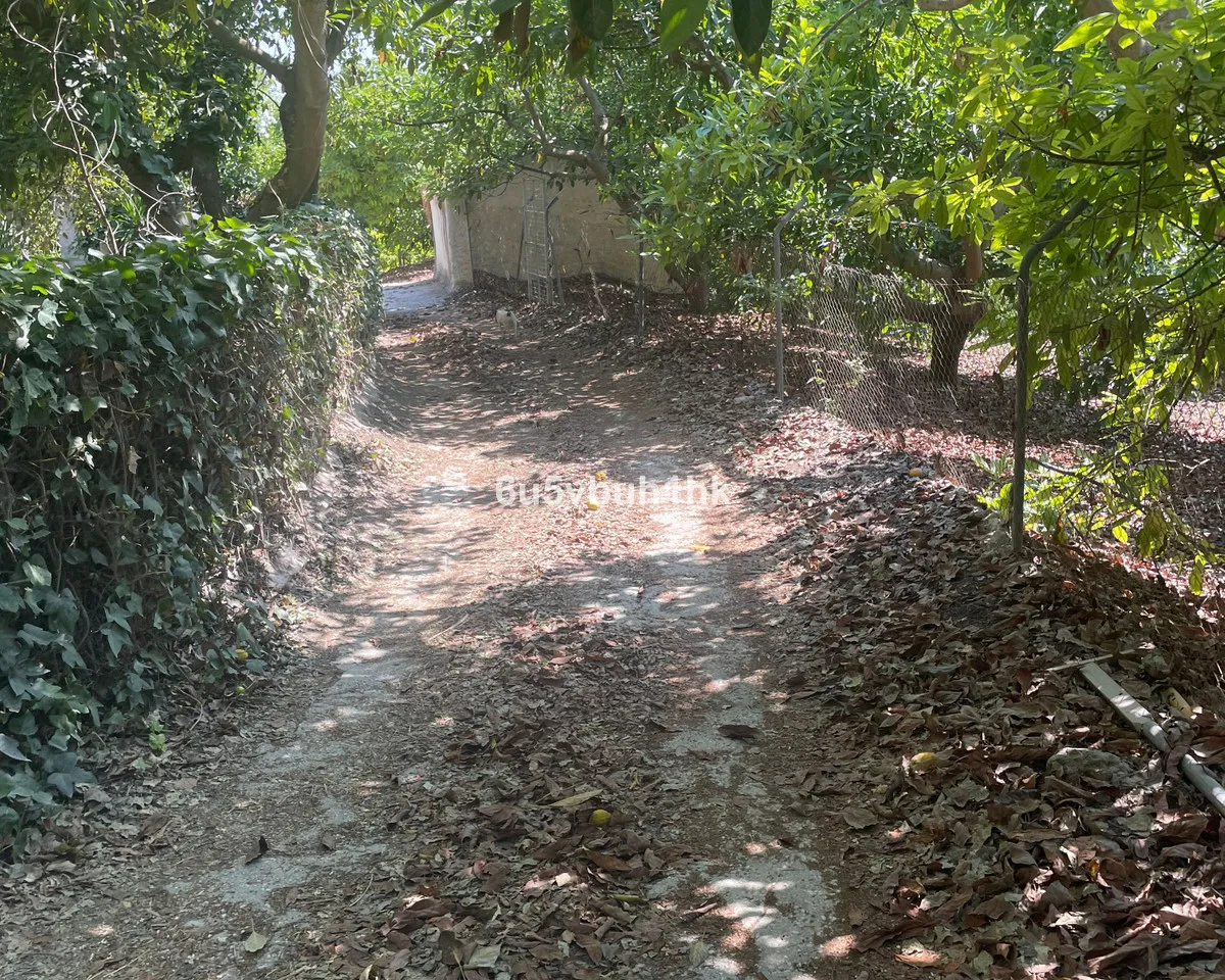 15f5c653-829a-4644-86cf-1b0b5a3ee0a3