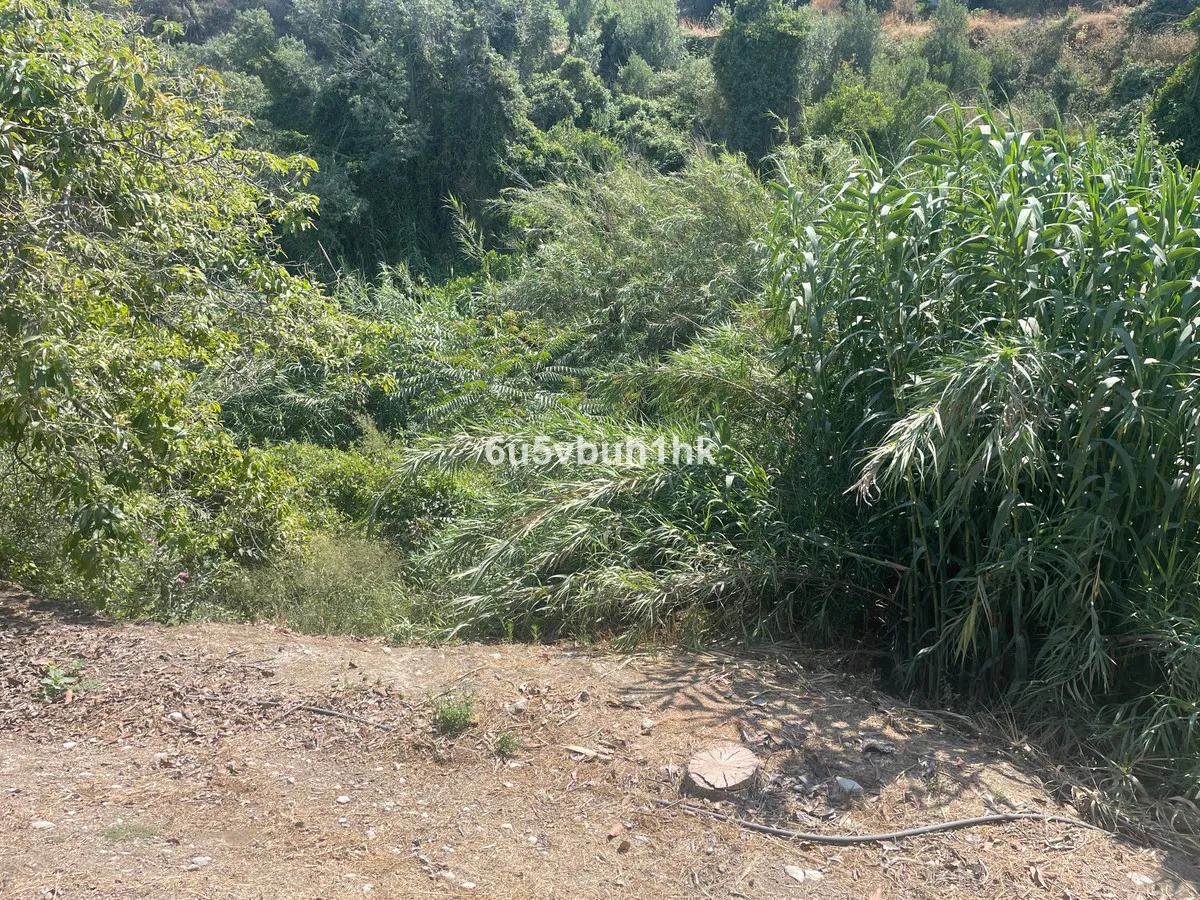 1d8511b1-0164-4c81-af8d-c409970e1fcf