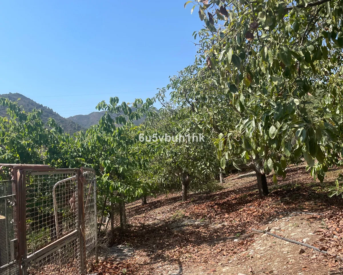 23ece1b8-ed8e-4321-818b-2039c3896eed