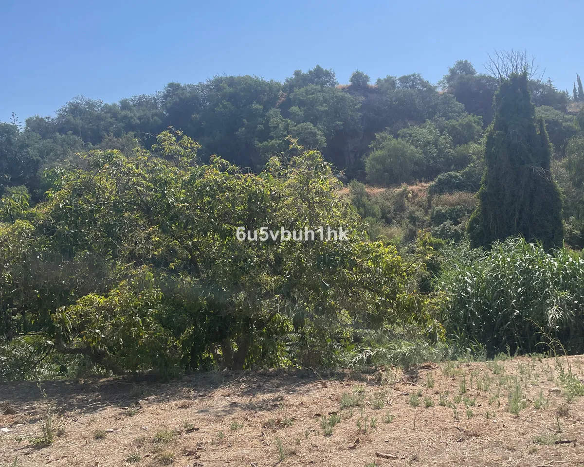 40095b23-a38b-4ad8-bf33-c84c796d4aa8