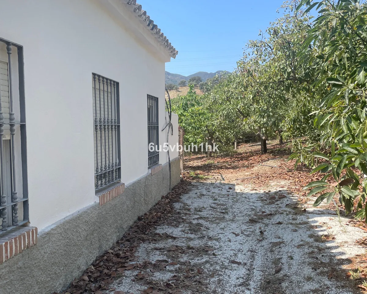 66d81d04-7e53-41fb-b629-e8193c071386