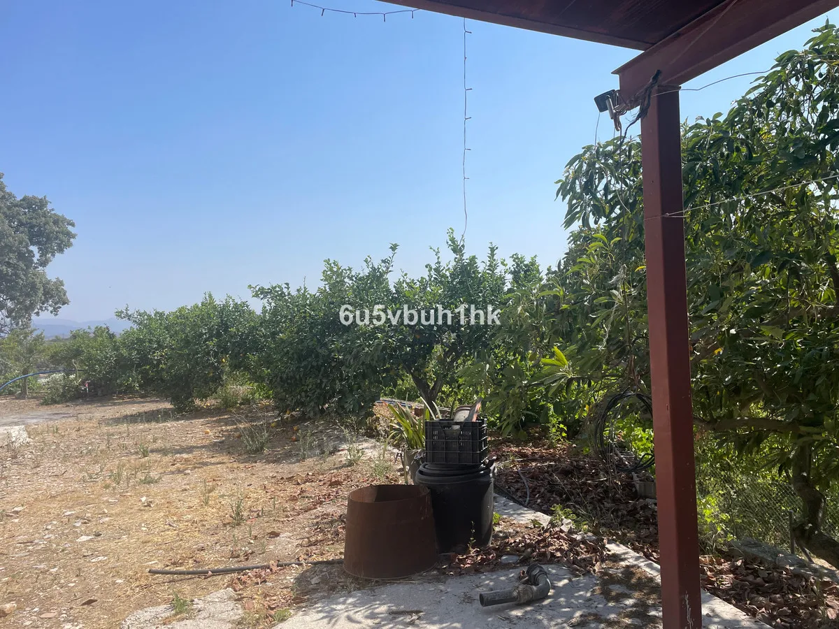 6cba329f-cd69-43ee-90e4-a16ba5ea23f3