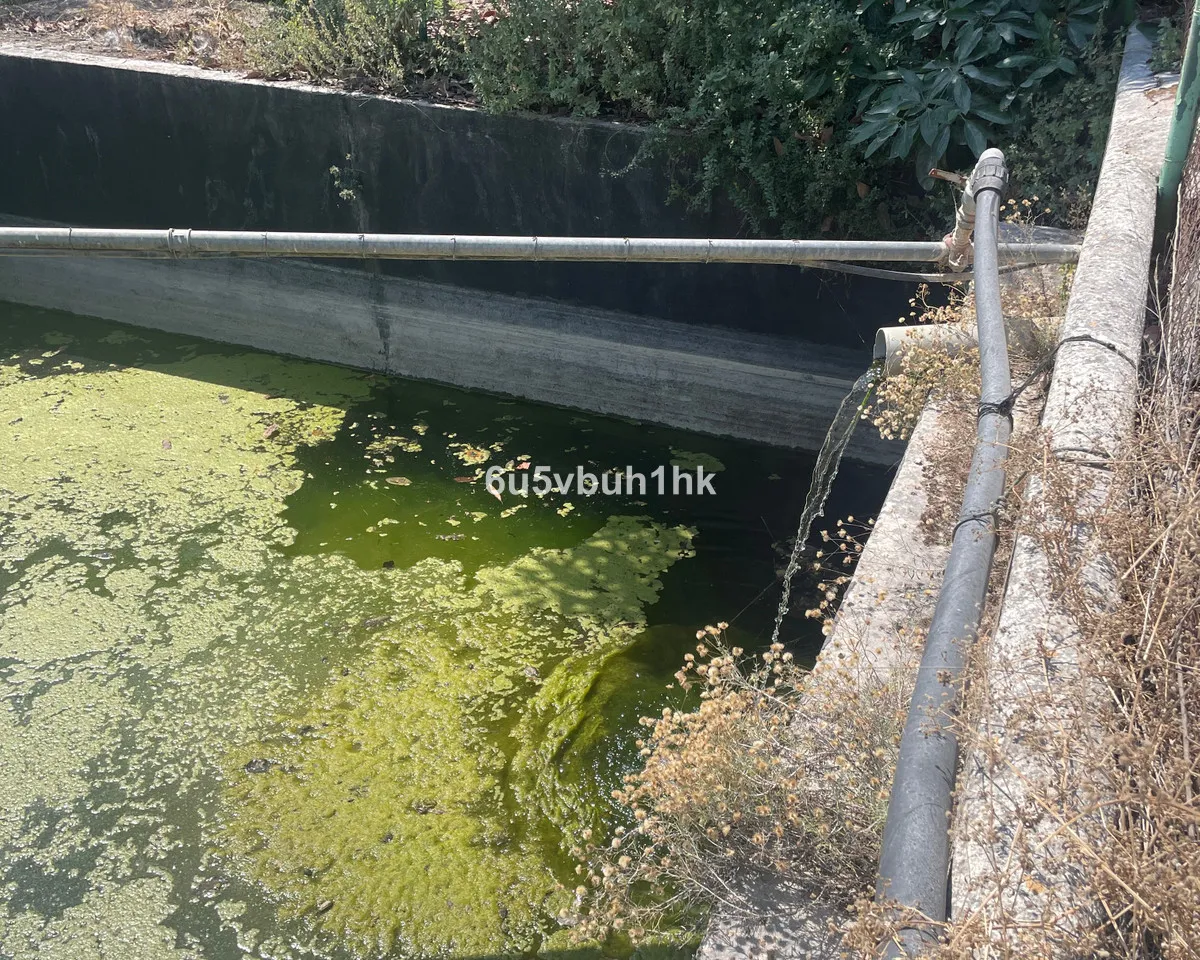 c7dd7f12-0a07-42f3-a1c5-8204c7108da2