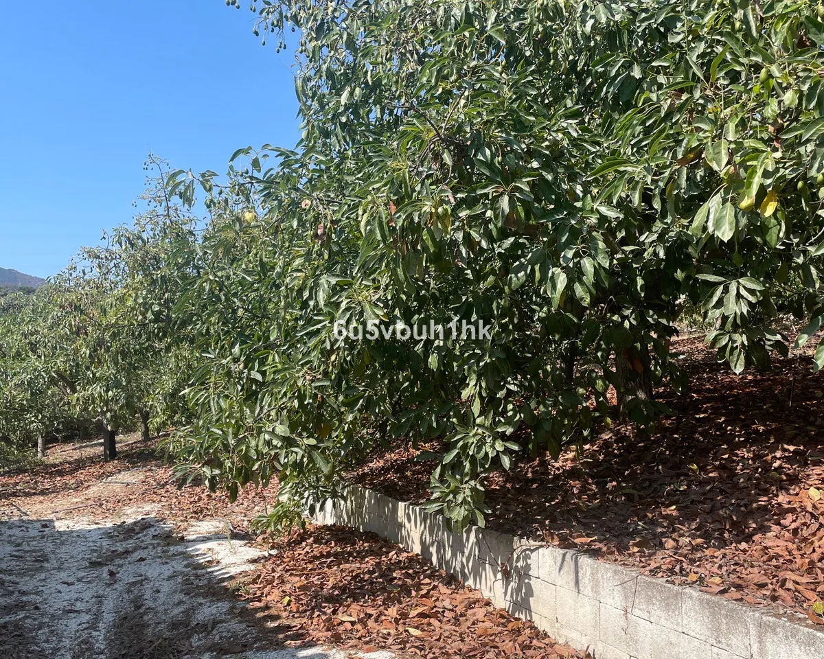 e4733f19-02dc-4626-97c4-e76df8631251