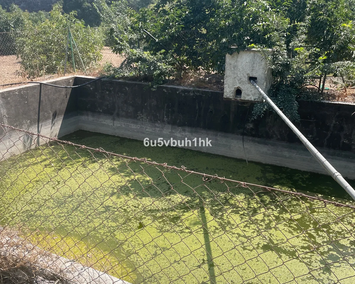 f556c038-82de-4229-8ac0-b261122d82ea