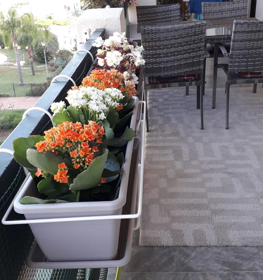 c7216d33-cbfb-4535-98ef-7351f5ecb103