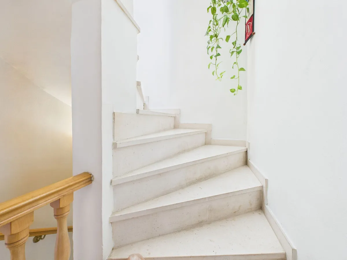 39887394-d754-43ee-b8ed-c321b561eef4