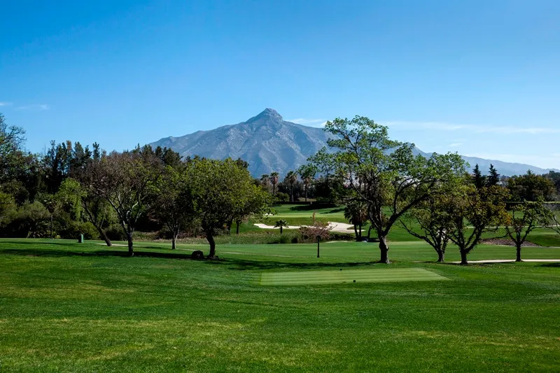 0fc047a8-f679-428f-896e-be475f41f184