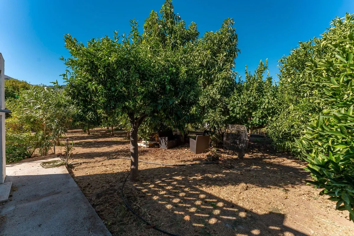 724b3c6f-5b21-457f-89ad-149abffa3088