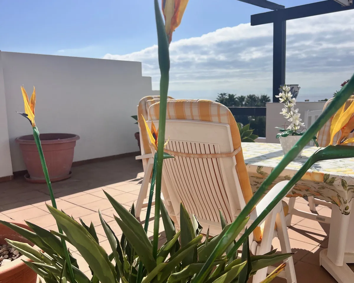 d9db46a4-4aae-41d9-8a68-be358f09b85a