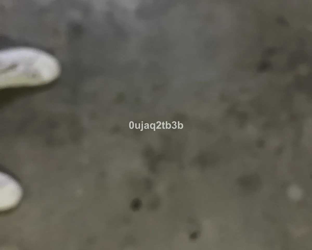 d73eed92-00b3-4a7a-89bd-da0d3dad9cc9