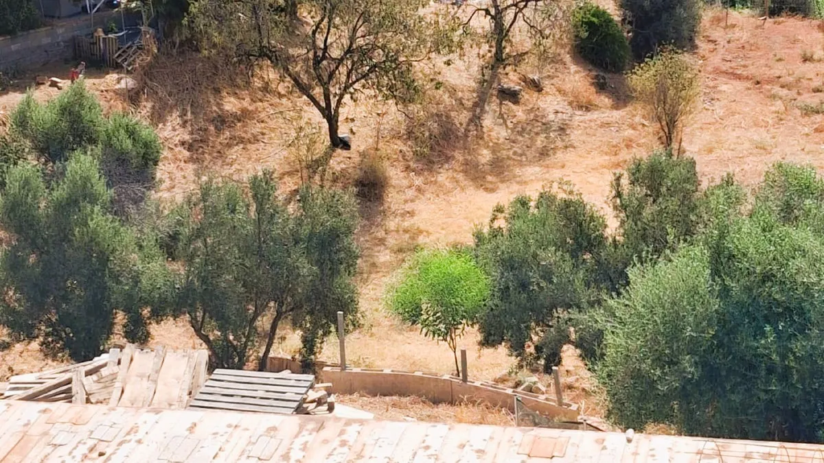 0a383775-8510-443a-96c6-6a7a20664beb