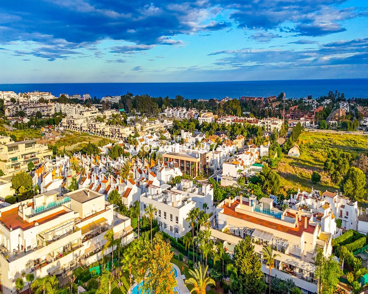 200b391d-b2c4-4b9d-b25e-3936639f1b2a