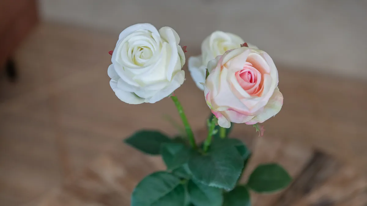 f59b8026-5c75-468f-a9a7-0d54fc5af52c