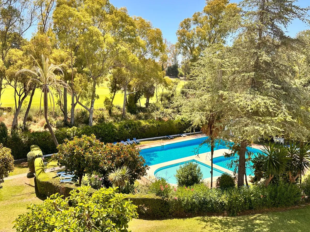 373a52e2-11d9-4f48-8638-8fe77be43348