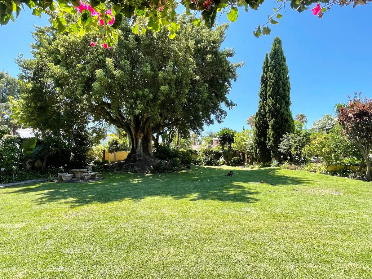 38f7bdf6-7109-413b-bd63-9951e0803357