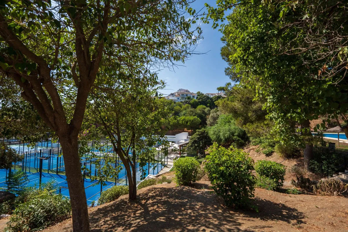 62cbe526-4222-451f-aacc-70ae2f2e6907