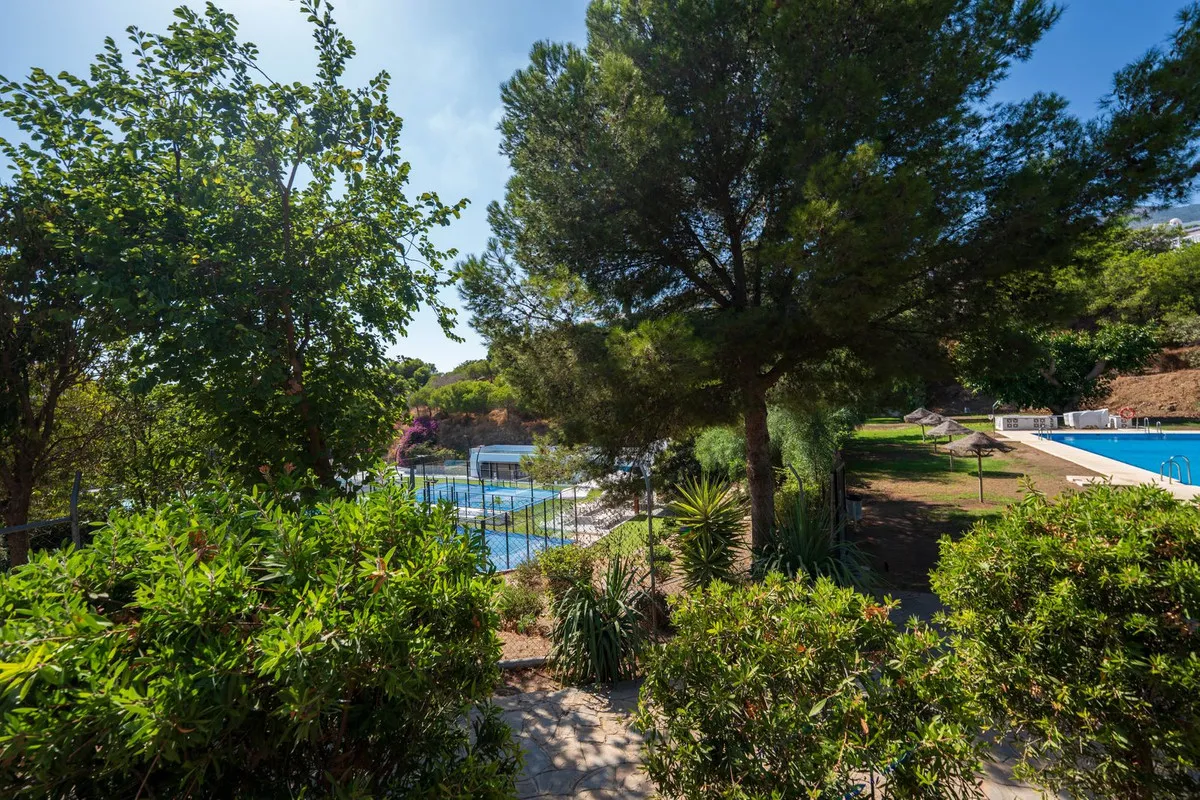 638ec853-97c1-4e2f-8333-1e0a10a0f42b