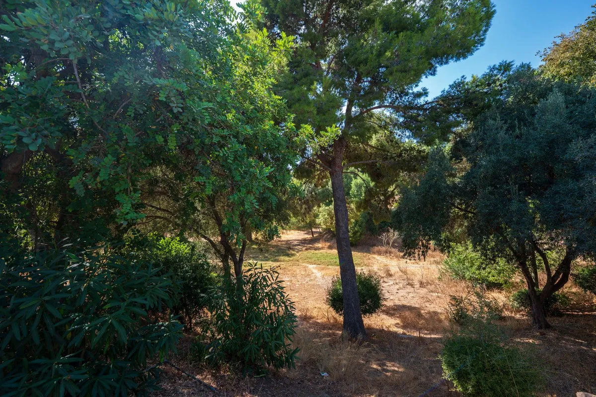 7a843c5e-db58-47a6-90aa-673acfc309d5