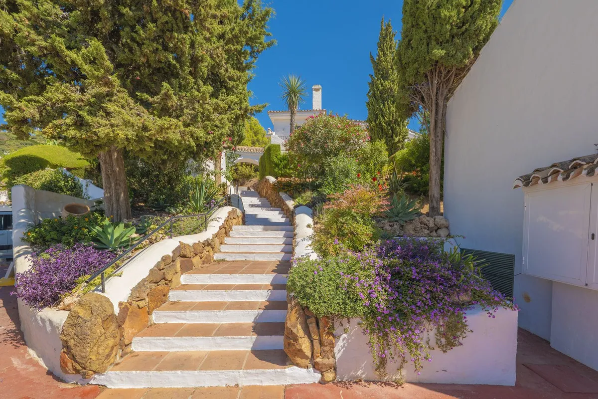 2dbbbc26-f8be-48fe-ad60-716d5a674b36