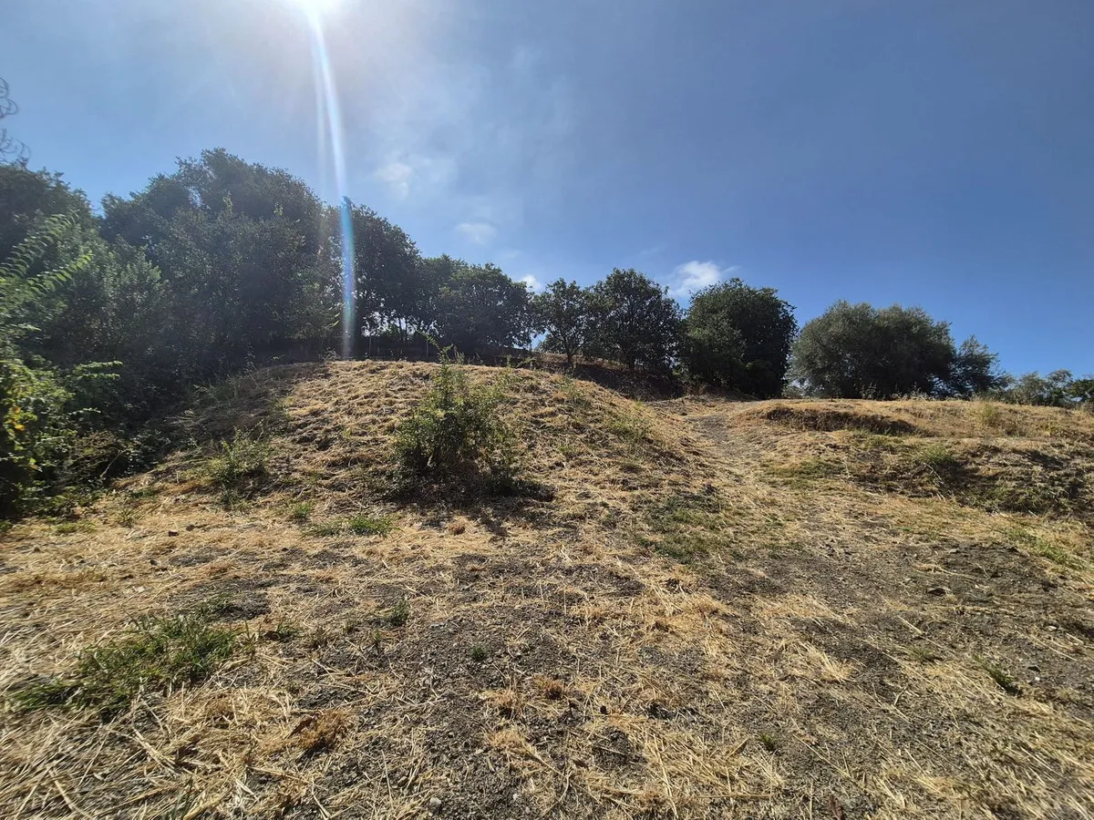 15adcdcc-9f2b-4dff-b0e0-25616f9f3dbc