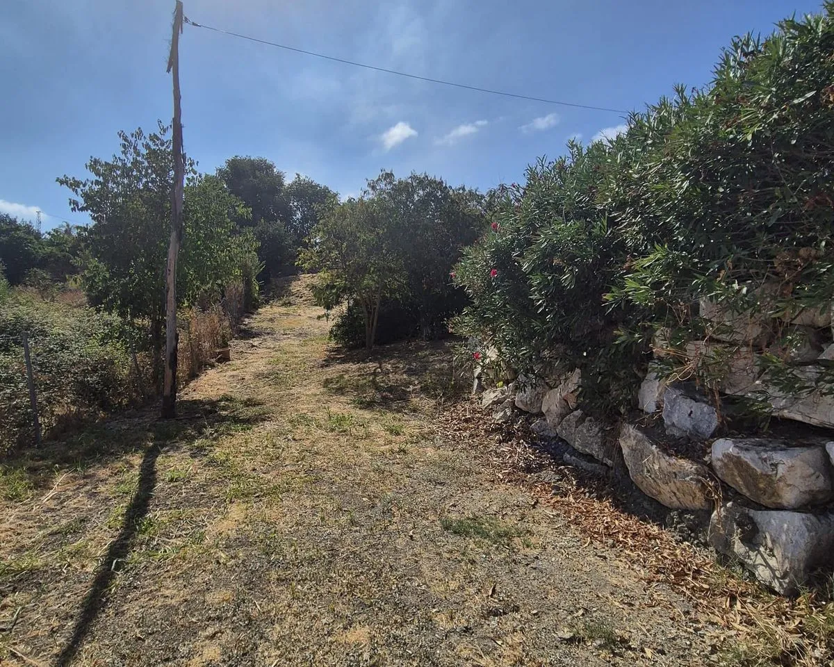 90d05f71-889e-42ec-b48c-a1a6d8826fe9