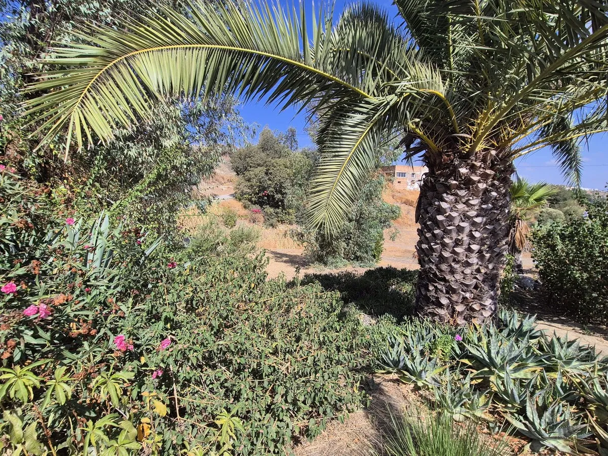 a2b174e5-6ec2-4f3d-a58a-c478fe62d01c